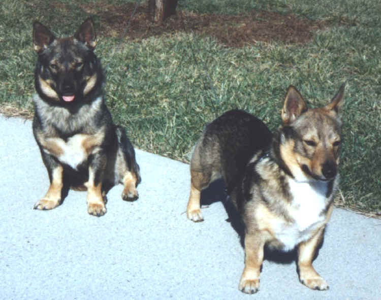 boyswaiting.jpg (49648 bytes)